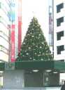 池袋駅東口のクリスマスツリー